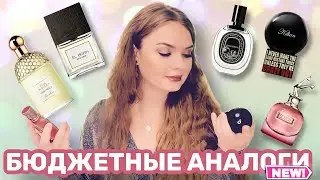 БЮДЖЕТНЫЕ АНАЛОГИ ДОРОГИХ АРОМАТОВ