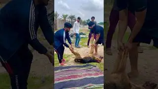 RIP jackon beta ❤️❤️❤️      #pawansahu