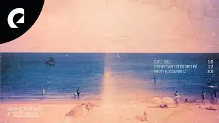 Trevor Kowalski - Sur le Sable