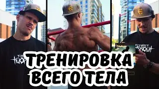 Тренировка всего тела для начинающих