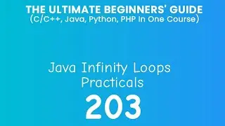 203. Java Infinity Loop Practical