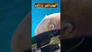 Зачем?😂😂 