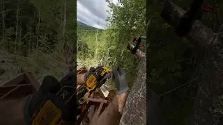 МУЛЬТИТУЛ DeWalt 
