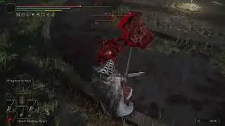 DUAL GREATSWORD VS DUAL GIANT HAMMER | ELDEN RING PVP