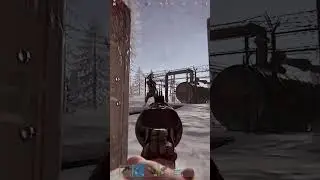 Рэмбо на ревике в раст/rust 