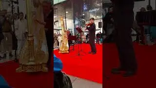 Violine Harfe