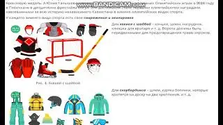 Зимние виды спорта
