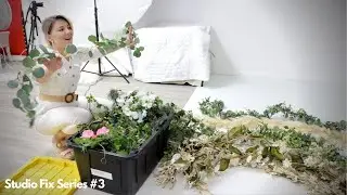 The best way to organize lianas in your photography studio