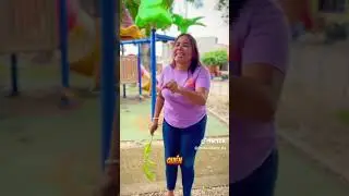 PORQUERIA DE PARQUE