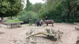 Прогулка по Рижскому зоопарку.