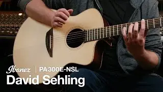 Ibanez PA300E featuring David Sehling