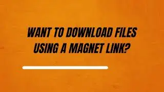 Seedr Review — The Easiest Way to Download Magnet Links