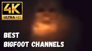 In Search Of Bigfoot Lost In Dark | Best Sasquatch Channels