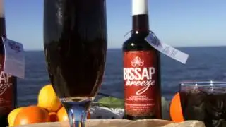 Bissap Breeze