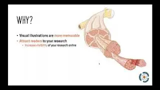 Insider Series: Illustrating your Research with Sarah Nersesian