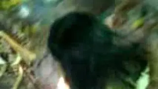MOV00309