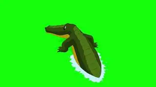 Crocodile attacks back view Greenscreen Free Copyright