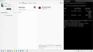 Sending 100 sms automatically using python and Microsoft Phone Link