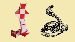 Cobra from 24-Piece Snake (version 1)