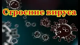Строение вируса