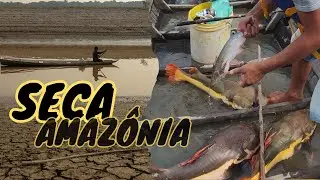 Pescando muito peixe na seca do Amazonas! 🎣🌞