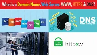 Domain name kya hota hai | What is a Web server | What is WWW & HTTPS | What is DNS | What is domain