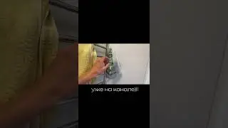 ВЛОГ С Больницы уже на канале!!!) #2024shorts #обзор