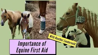Equine First Aid with Heather Lundervold