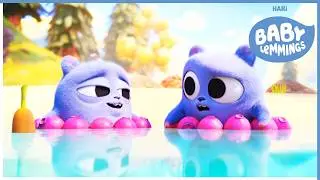 Mini Lemmings in the swimming pool 🌊 Baby Lemmings 🌊 Clip Compilation