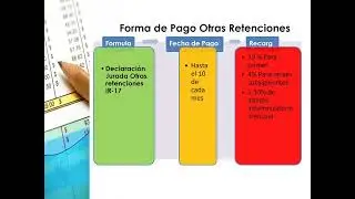 Grabacion Encuentro Virtual Llenado IR-17 e IR-6 10/10/2024
