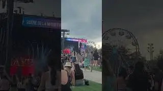 Raye at Osheaga 24
