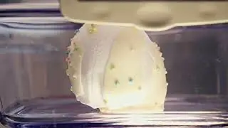 Chocolate Marshmallow in Vacuum