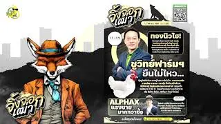 จิ้งจอกเฒ่า ( 1 พ.ย.67)