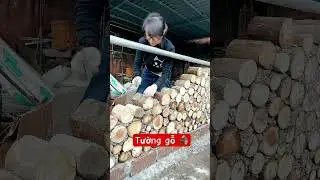 Bức tường hiện đại #shortsfeed #shots #agriculture