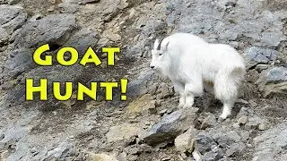 Goat Hunting Massacre! - Way of the Hunter