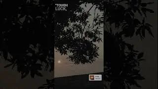 magic - rude