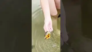 NÔMADES DIGITAIS VIVENDO A BORDO!