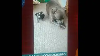 muito engraçado😂😂😂