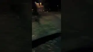 Царство ночи. Тишина.