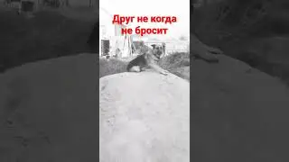 друг