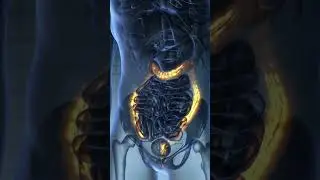 Cơ thể con người có thật sự phát sáng không  #drvitamin