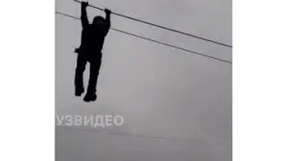 3 апреля 2020 г.
