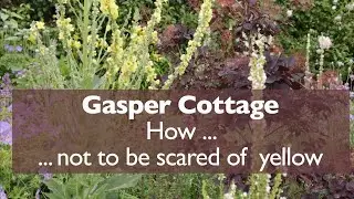 How --- not to be scared of yellow in a mixed border