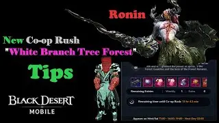 Black Desert Mobile - New Co-op Rush Boss 