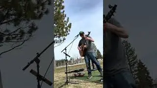 W.D. Saw — Crazy Mary / Tribute / Carini