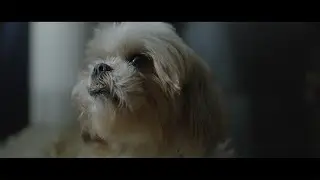 BMPCC4K Test