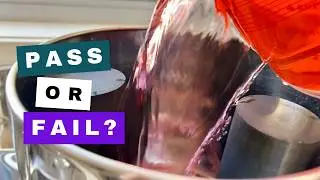 Berkey Red Dye Test (Pass & Fail Explained + Fix)