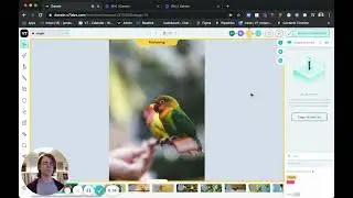 How to automatically label your data with V7's Neural Networks