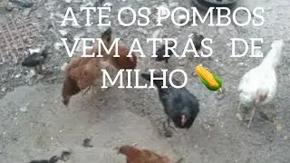TODO DIA É ASSIM , TEM QUE CUIDAR