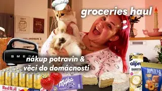 masivní TESCO haul potravin & věcí do domácnosti | sugardenny